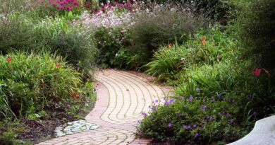 Primer tlakovane potke iz opeke