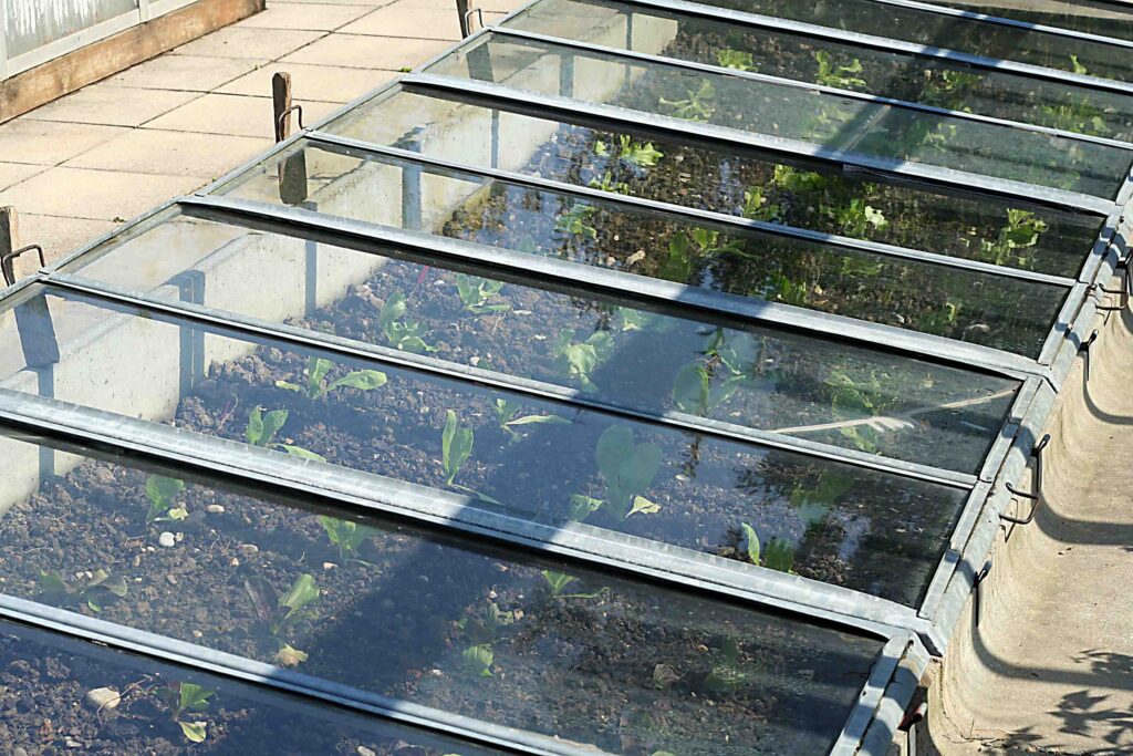 Primer tople grede v marcu s solato