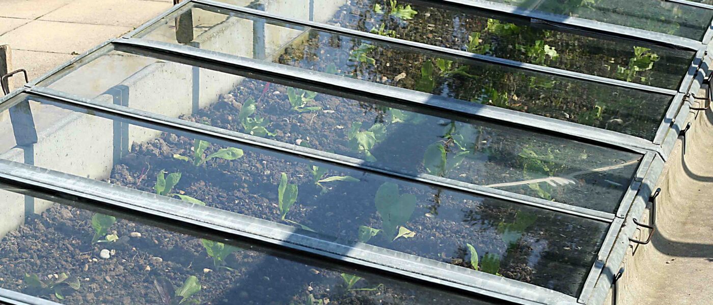 Primer tople grede v marcu s solato