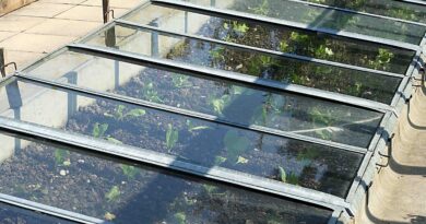 Primer tople grede v marcu s solato