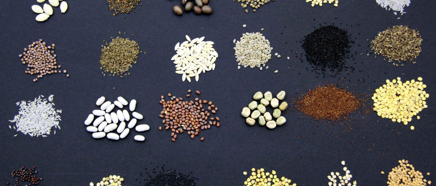 Semena vrtnin in zelišč