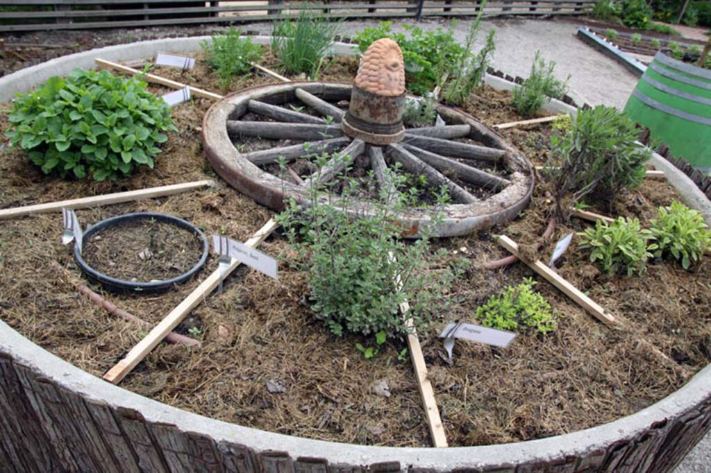 Visoka gfreda z zelišči okrogle oblike