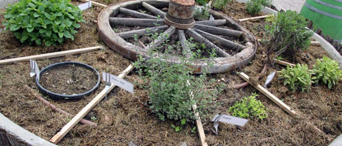 Visoka gfreda z zelišči okrogle oblike