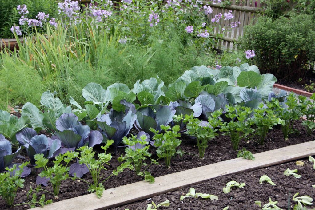 Zelenjavni vrt v senci pomladi