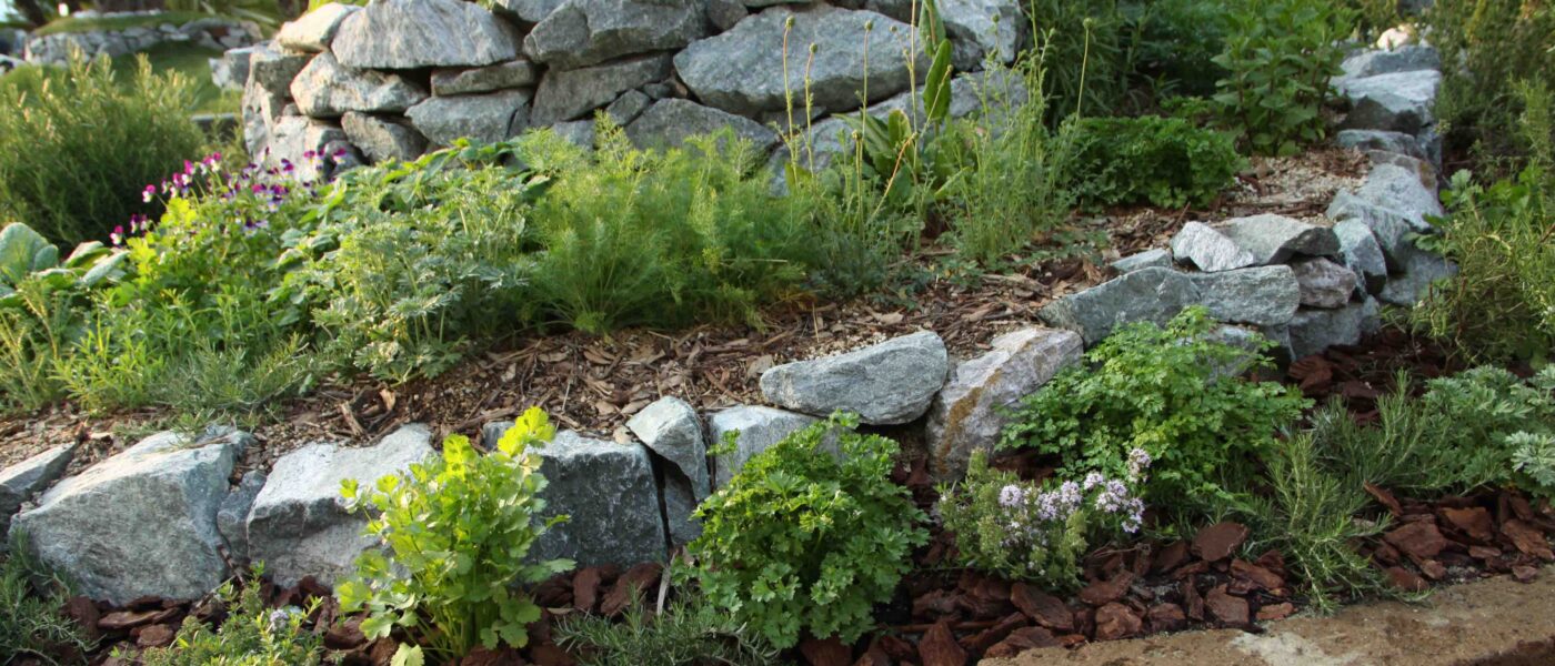 Spiralna zeliščna greda za zelišča in dišavnice