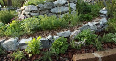 Spiralna zeliščna greda za zelišča in dišavnice