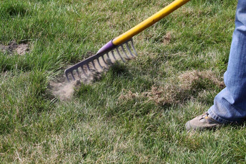 Spomladansko čiščenje vrtne trate