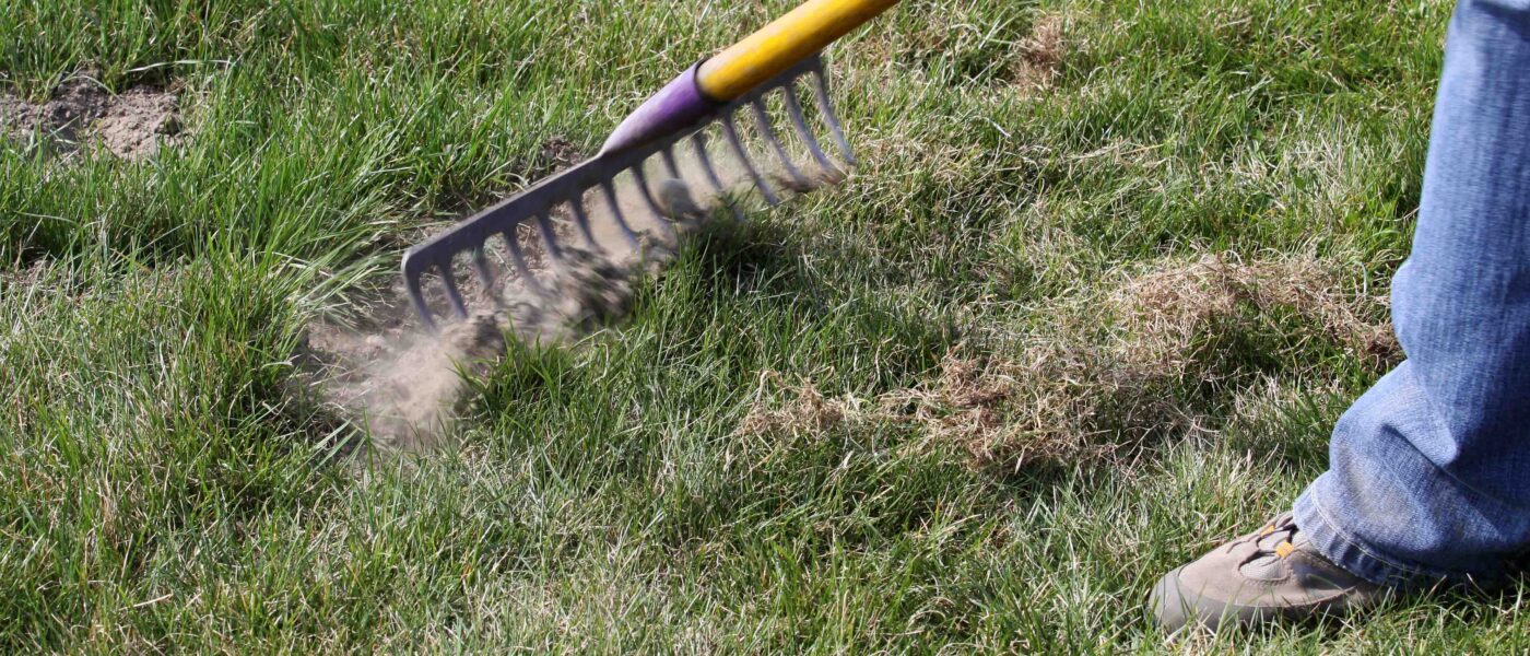 Spomladansko čiščenje vrtne trate