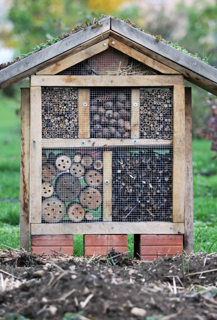 Hotel za žuželke domače izdelave - ekološko vrtnarjenje