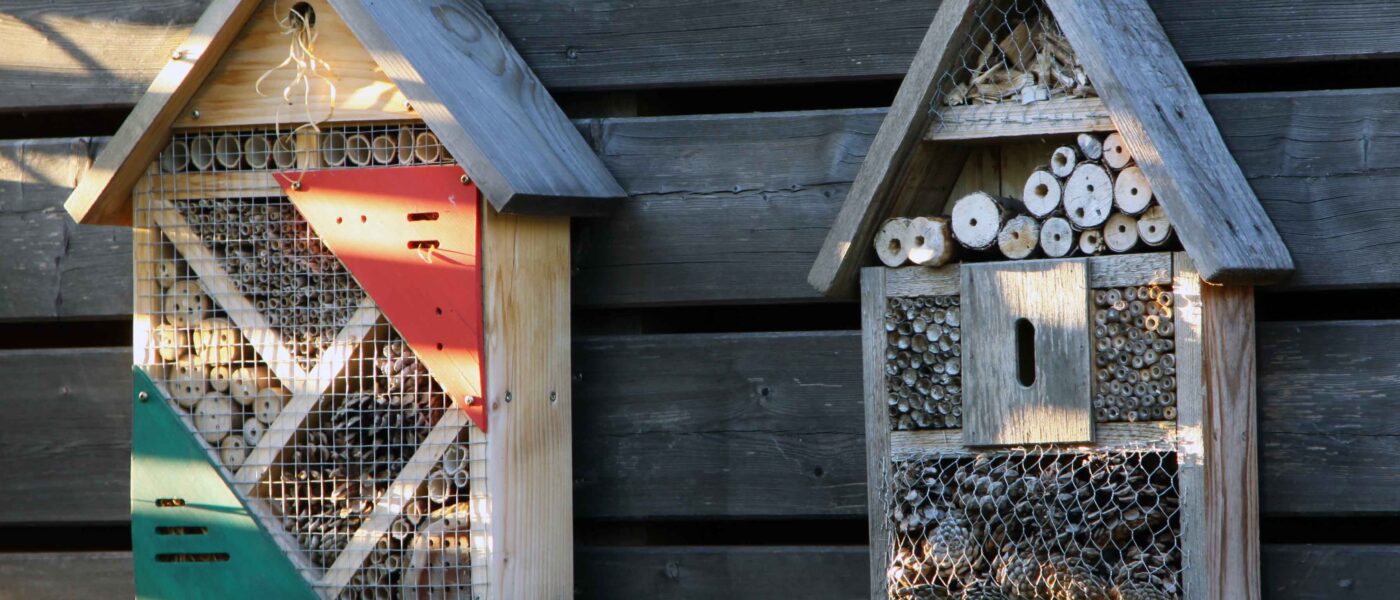 Preproste hišice za žuželke, obešene na vrtni hišici