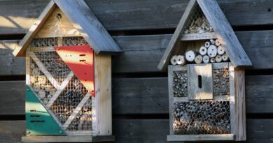 Preproste hišice za žuželke, obešene na vrtni hišici