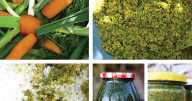 Postopek priprave domače vegete