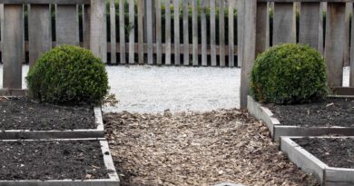 Zastiranje tal z lubjem prednosti in slabosti