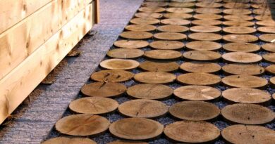 Potka ma vrtu izdelana iz debla drevesa, žaganega na kolobarje