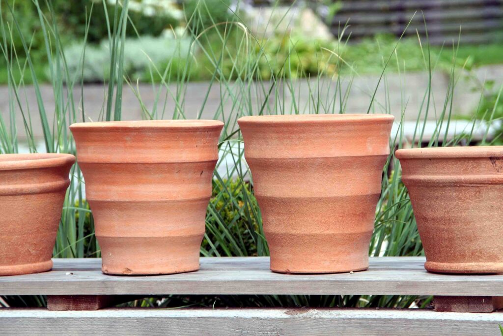 Uporaba glinenih loncev za rastline