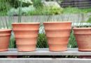 Uporaba glinenih loncev za rastline