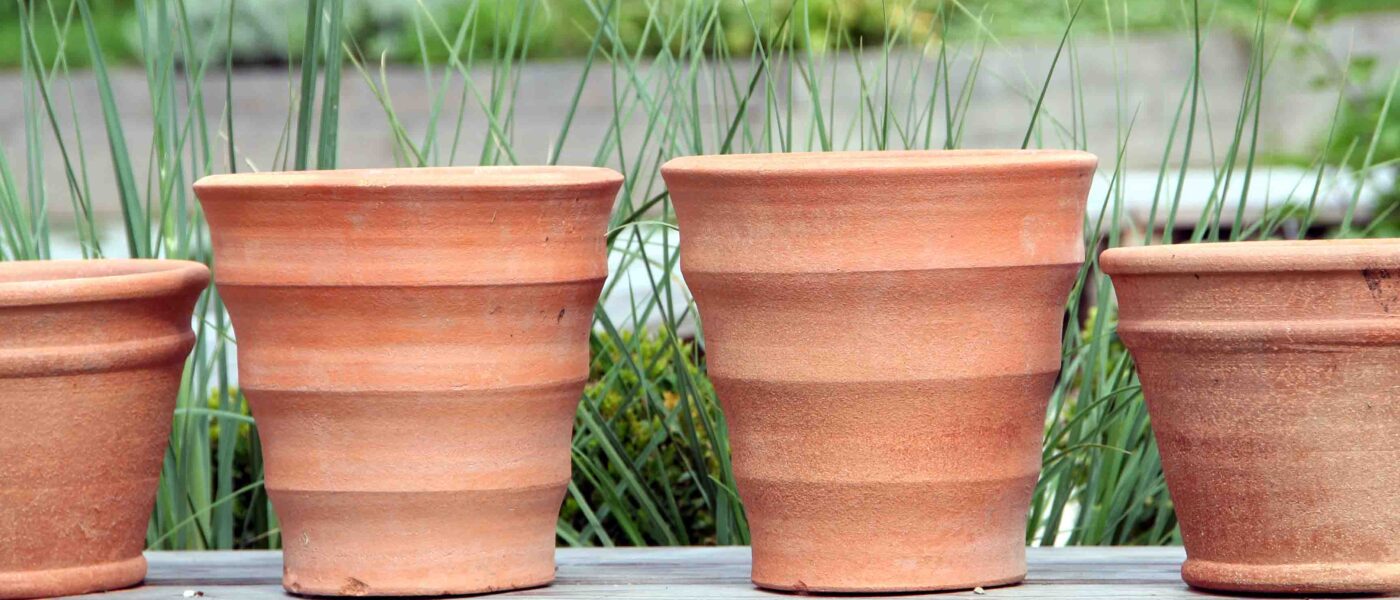 Uporaba glinenih loncev za rastline
