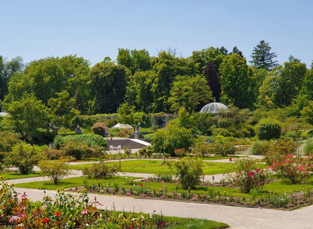 Botanični vrt v Münchnu