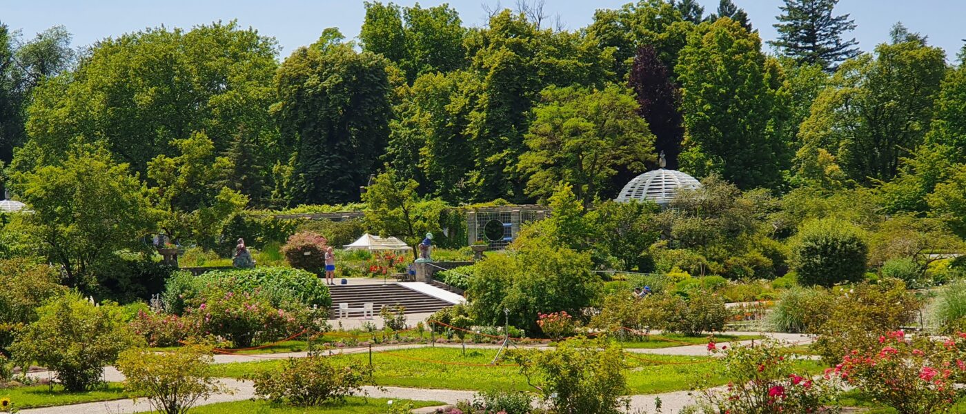 Botanični vrt v Münchnu