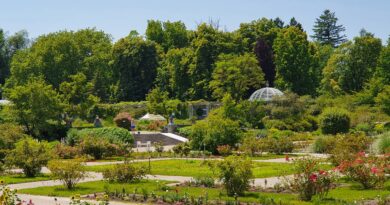 Botanični vrt v Münchnu