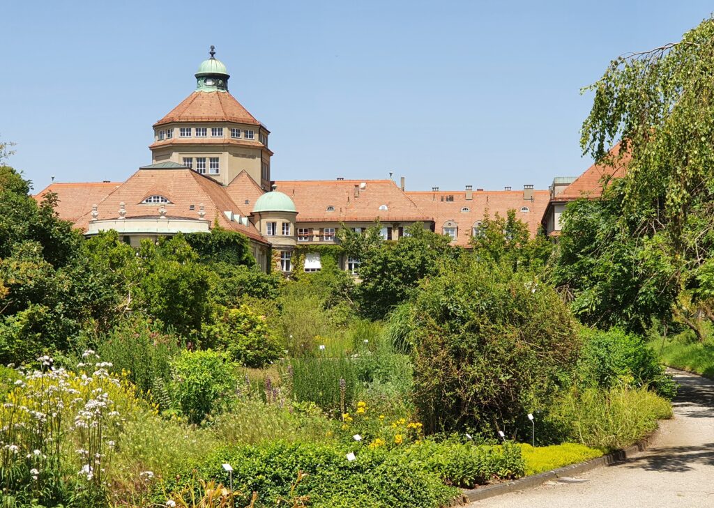Botanični vrt v Münchnu sodeluje z univerzami, šolami in raziskovalnimi ustanovami. Redno organizira vodene oglede, delavnice in razstave, namenjene tako otrokom kot odraslim. Pomemben del njihovega poslanstva je varstvo ogroženih rastlinskih vrst.