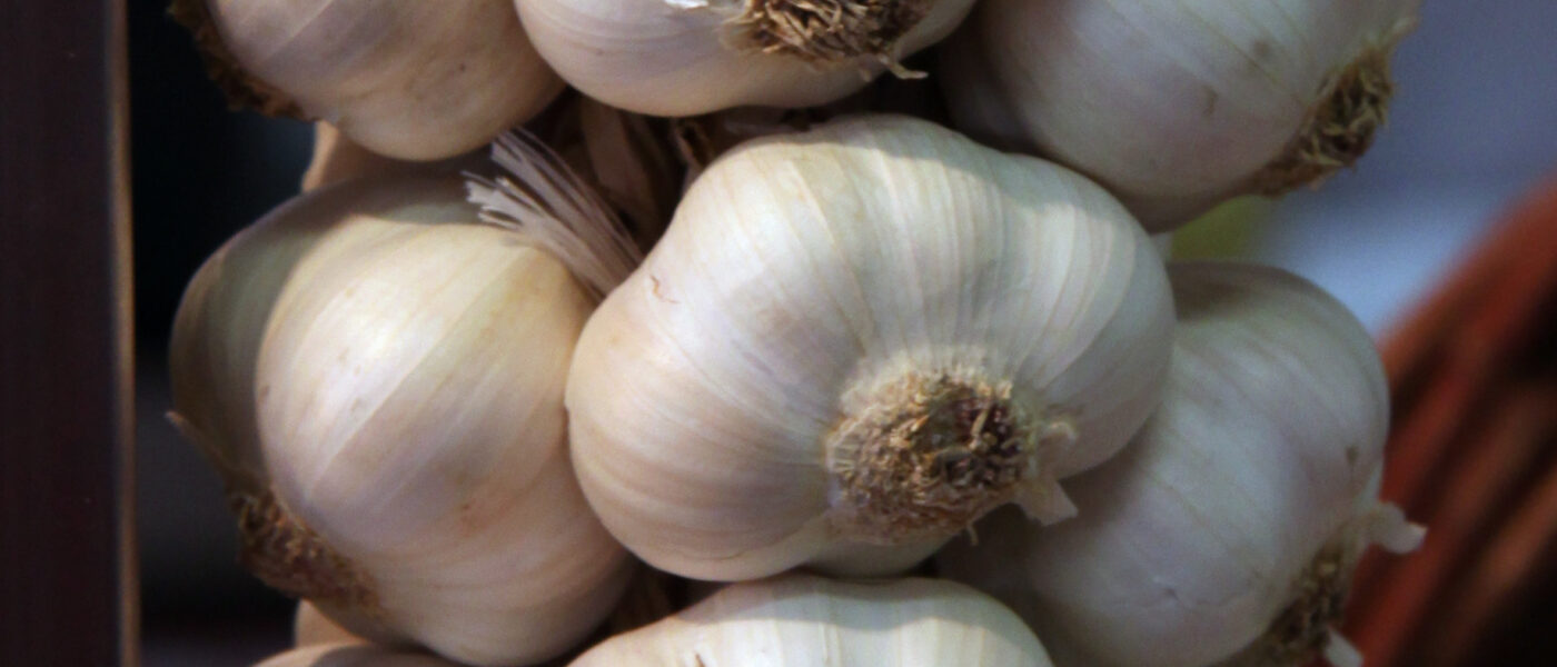 Pletna česnova kita