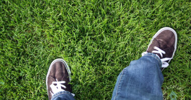 Jesensko gnojenje vrtne trate