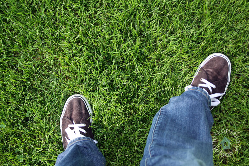 Jesensko gnojenje vrtne trate