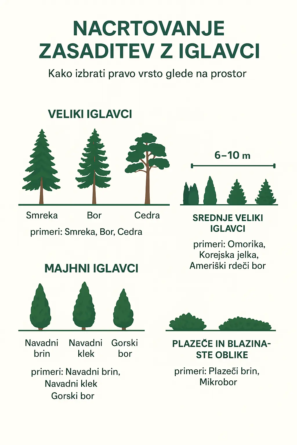 Načrtovanje zasaditve iglavcev