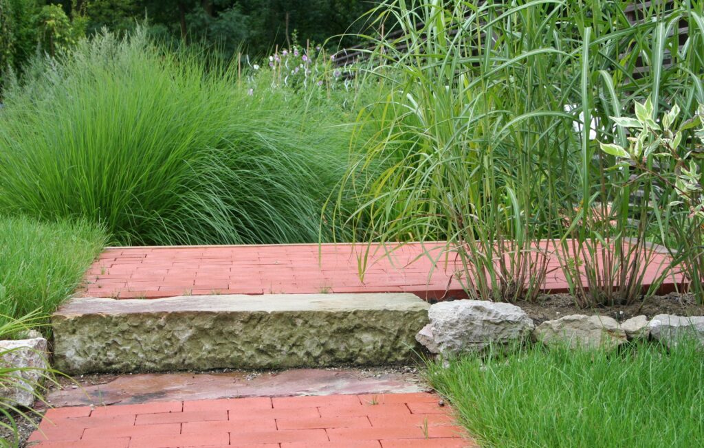 Okrasne trave ob vrtni poti