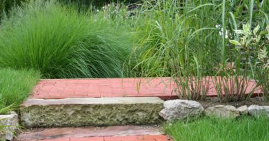 Okrasne trave ob vrtni poti