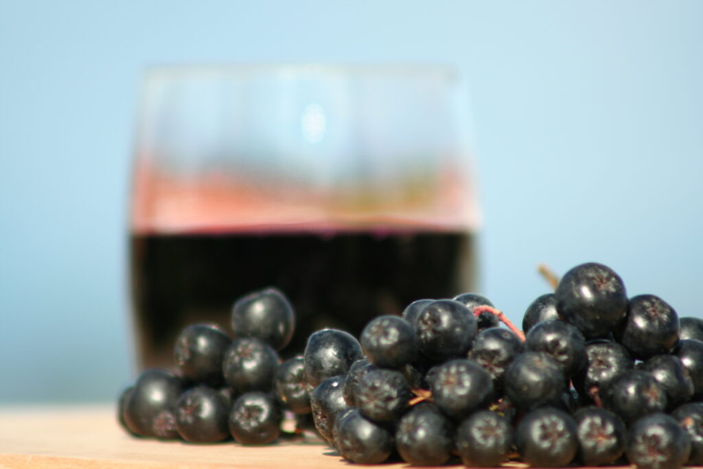 Domači sok iz aronije