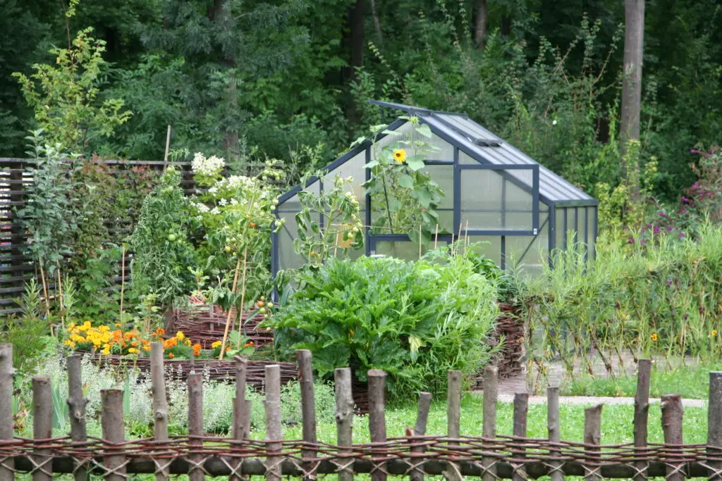 Vrt kjer osrednje mesto zavzema vrtni rastlinjak