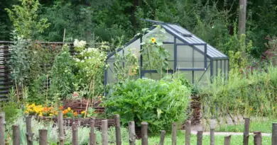 Vrt kjer osrednje mesto zavzema vrtni rastlinjak