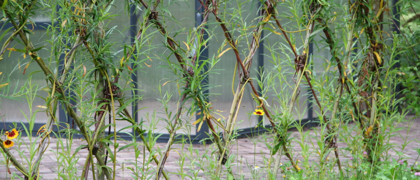 Vrtna ograja iz poganjkov vrbe