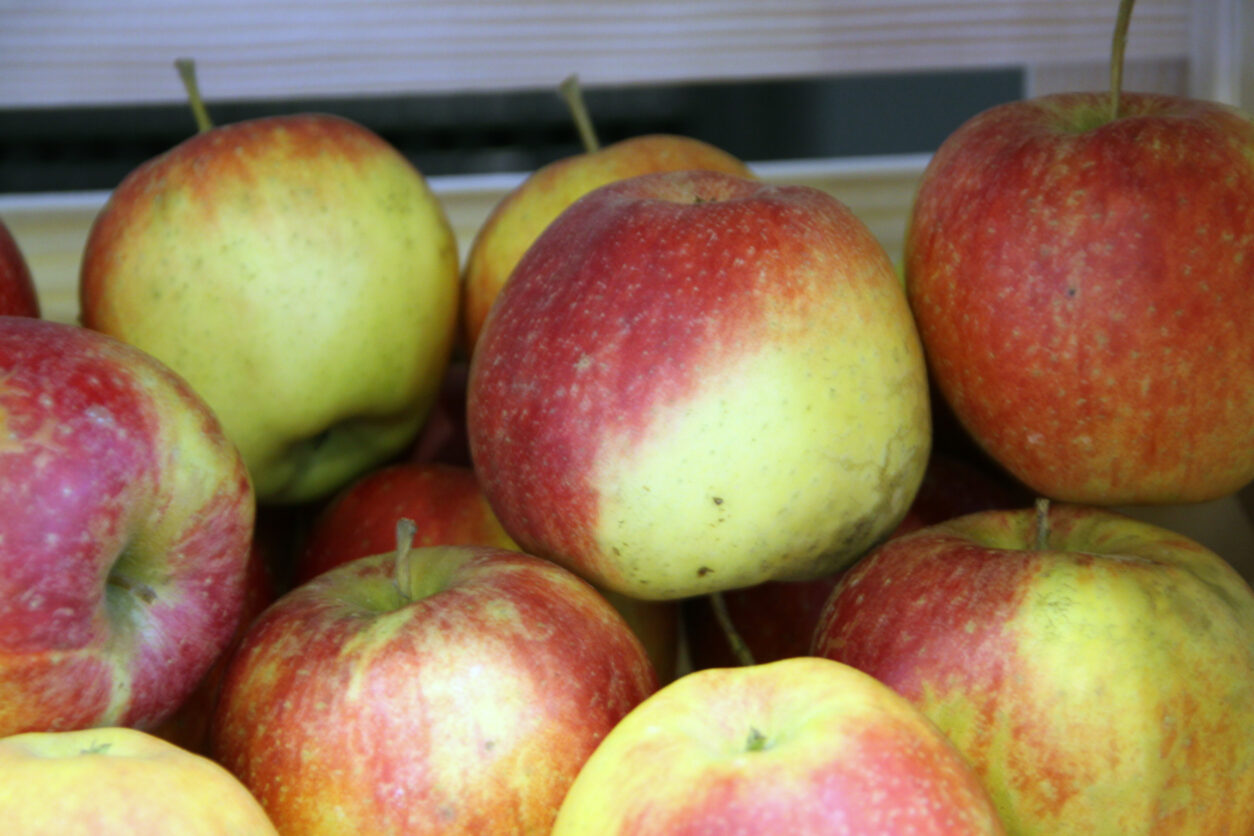 Ariwa (Zlati Delišes X A 849-5)