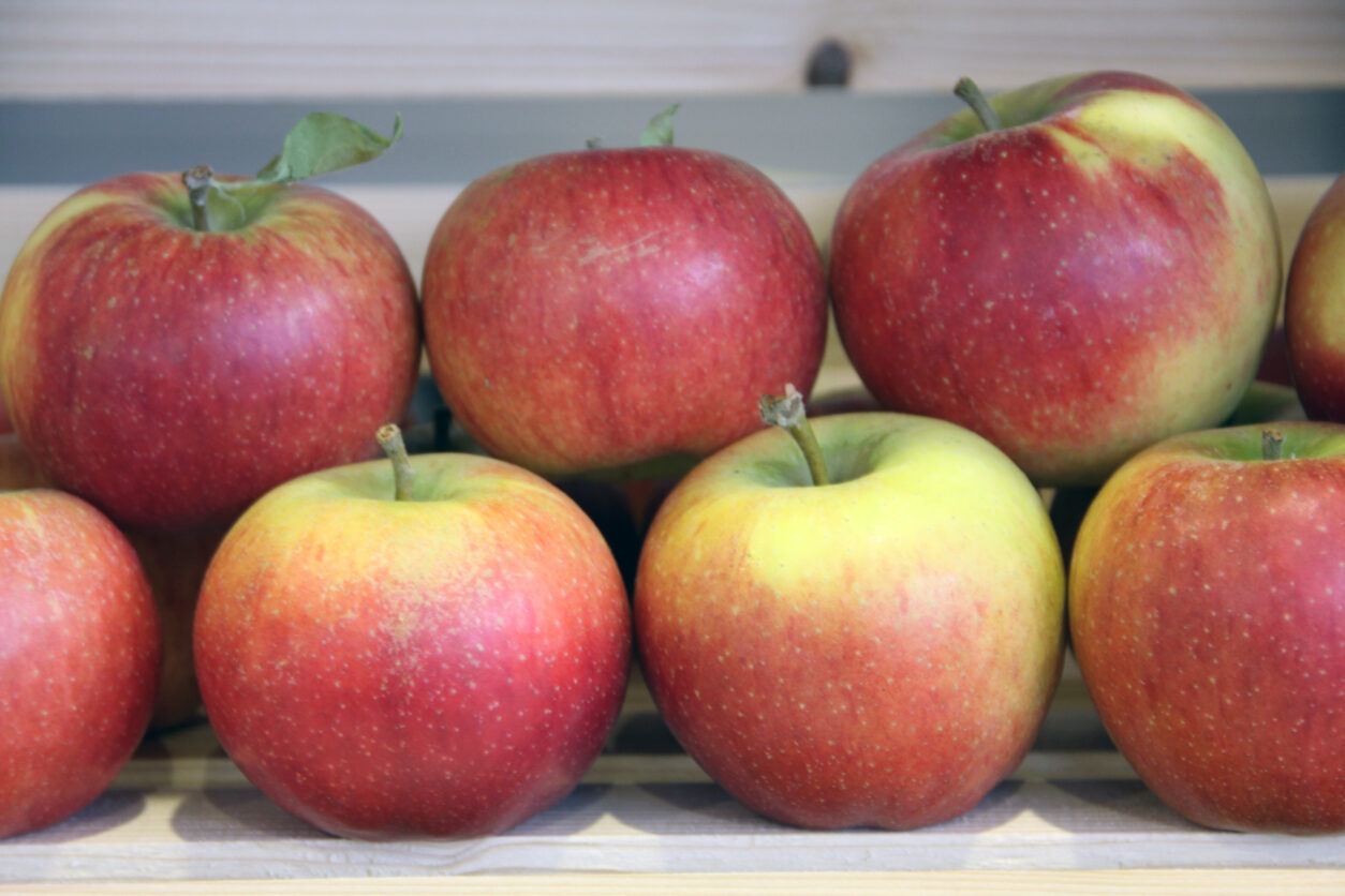 Ecolette (Elstar X Prima)