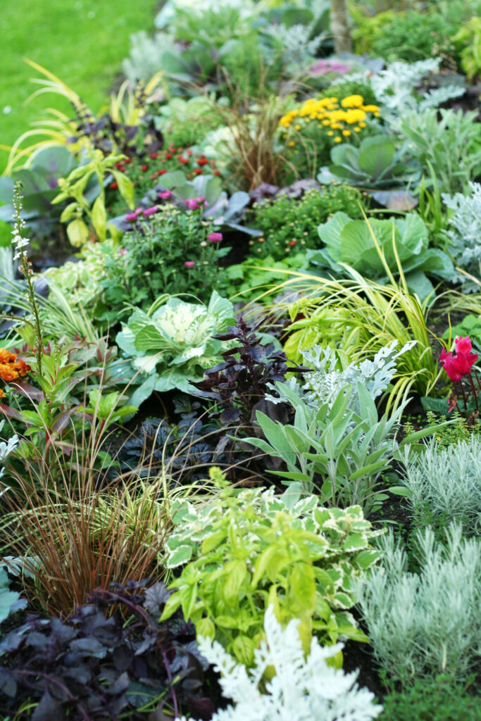 Jesenska zasaditev je lahko enako barvita kot poletna