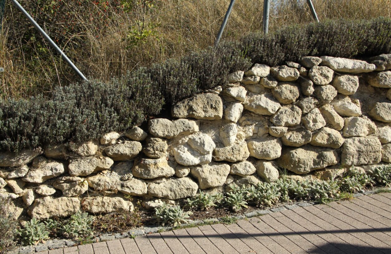 Kamnito obzidje v brežino