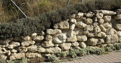 Kamnito obzidje v brežino