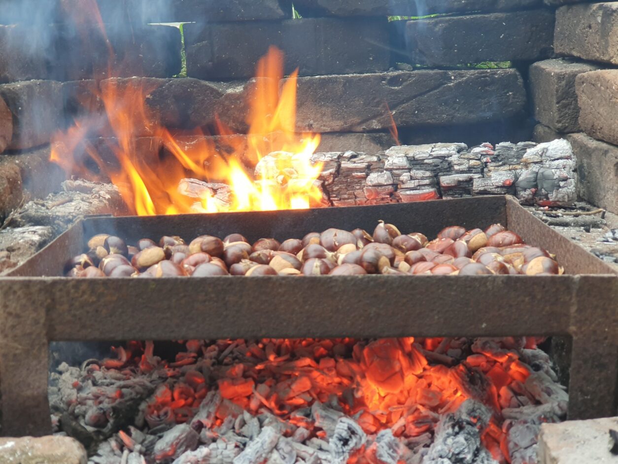 Kostanje najbolje spečemo na močni žerjavici in ob rednem mešanju.