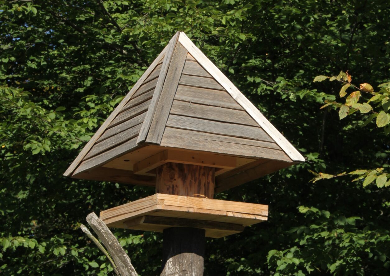 Lesena krmilnica za ptice