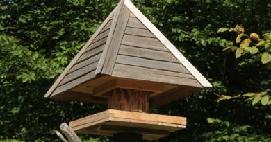 Lesena krmilnica za ptice