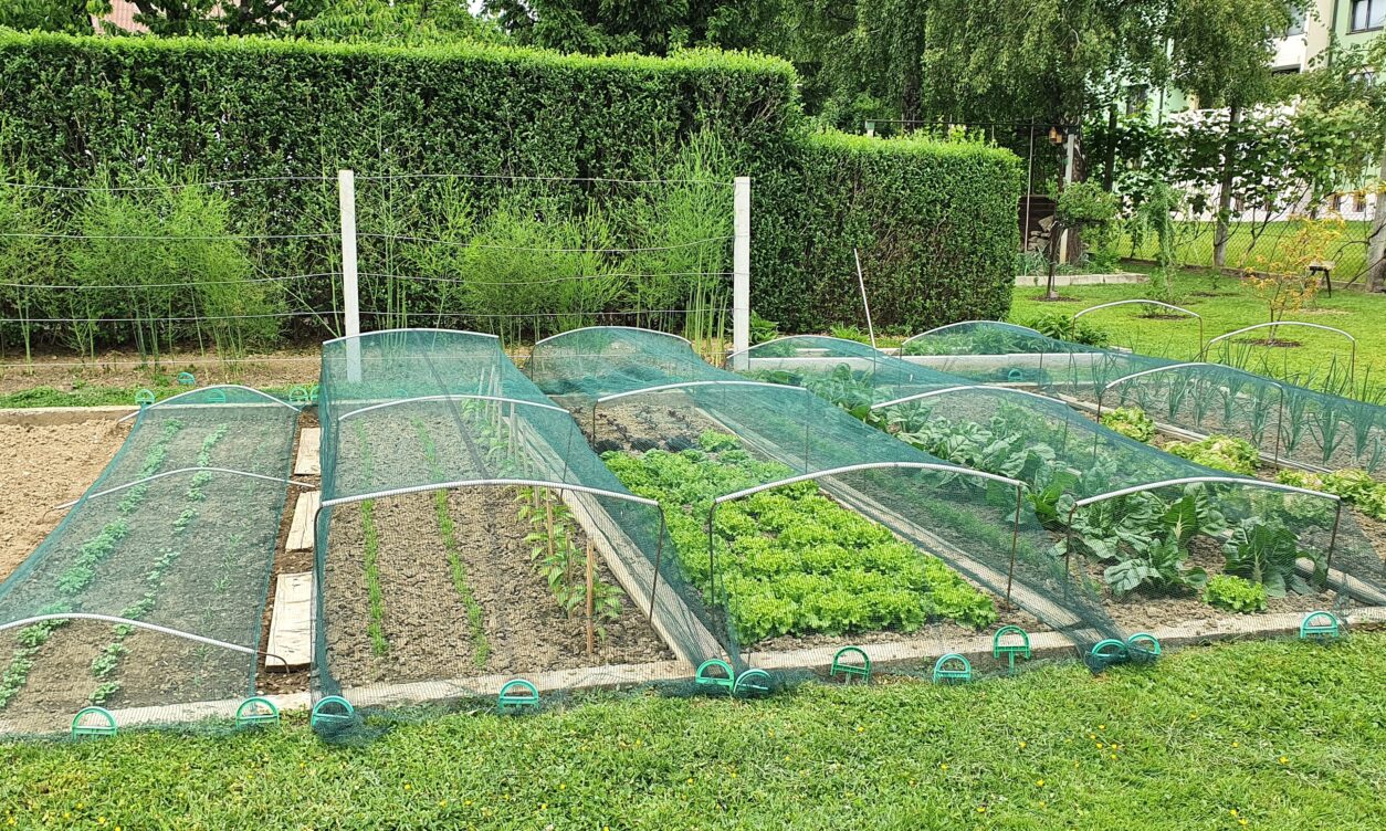 Mrežasta zaščita za zelenjavne grede