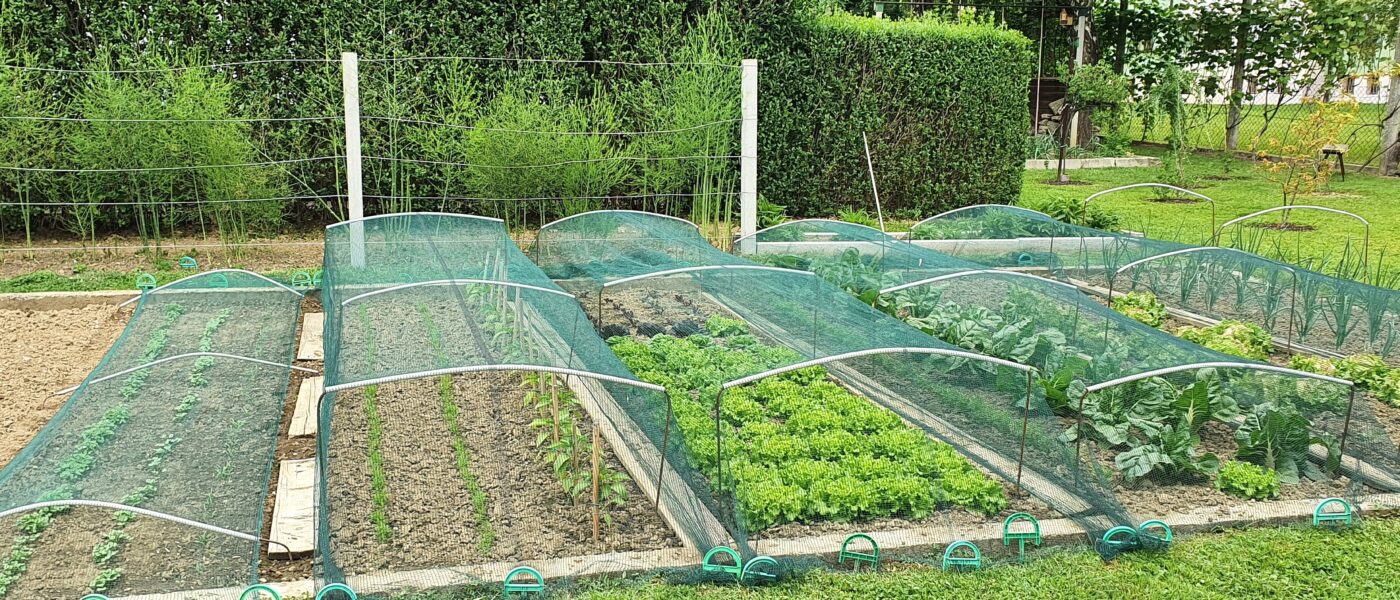 Mrežasta zaščita za zelenjavne grede