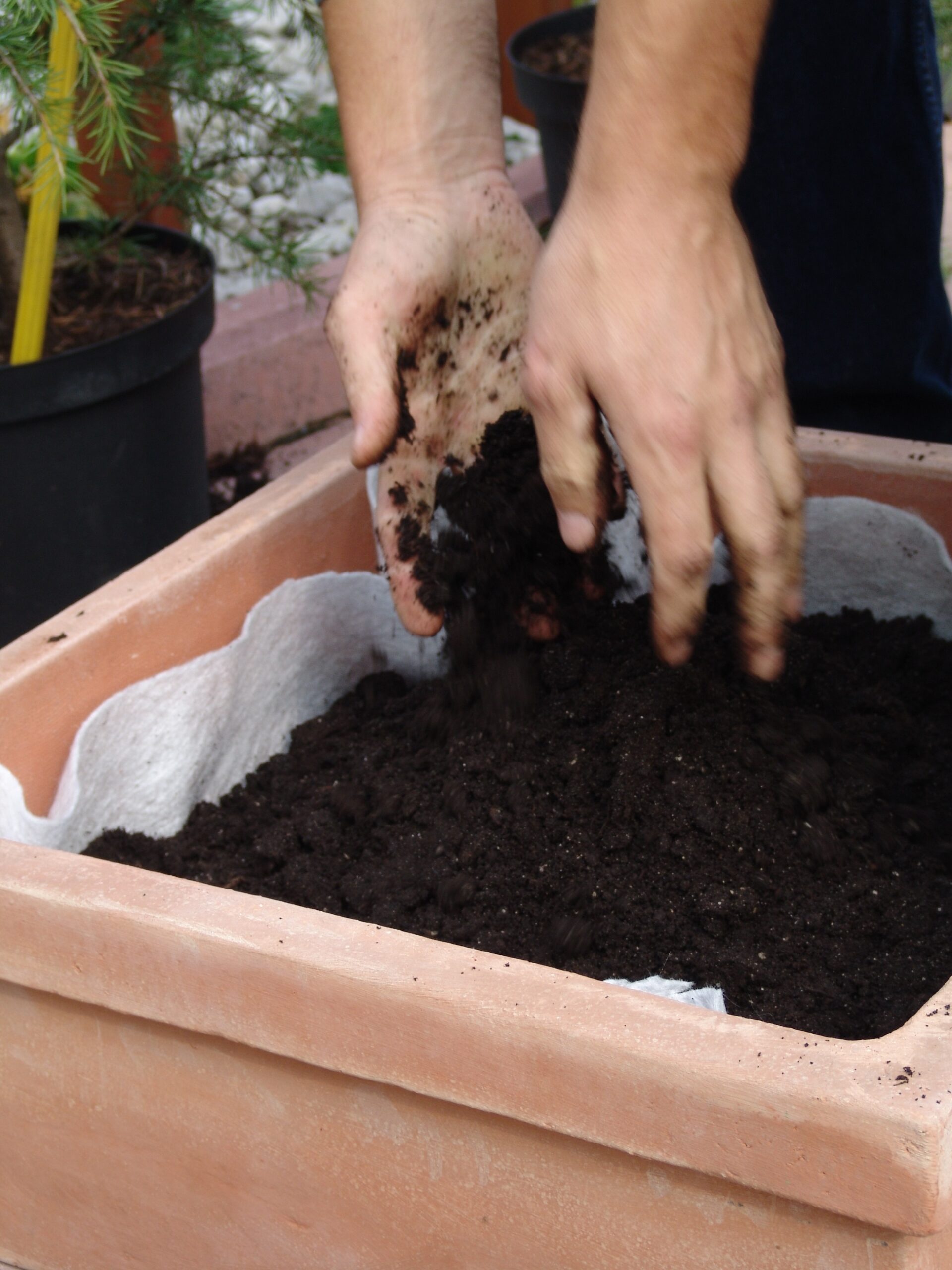Nasutje zemlje za sajenje rastlin v lonce