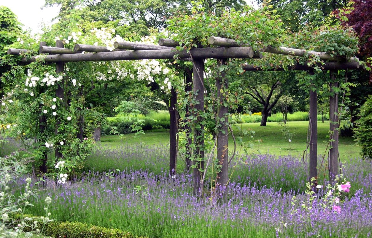 Pergola iz naravnega lesa