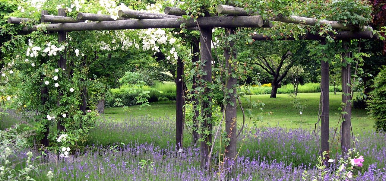 Pergola iz naravnega lesa