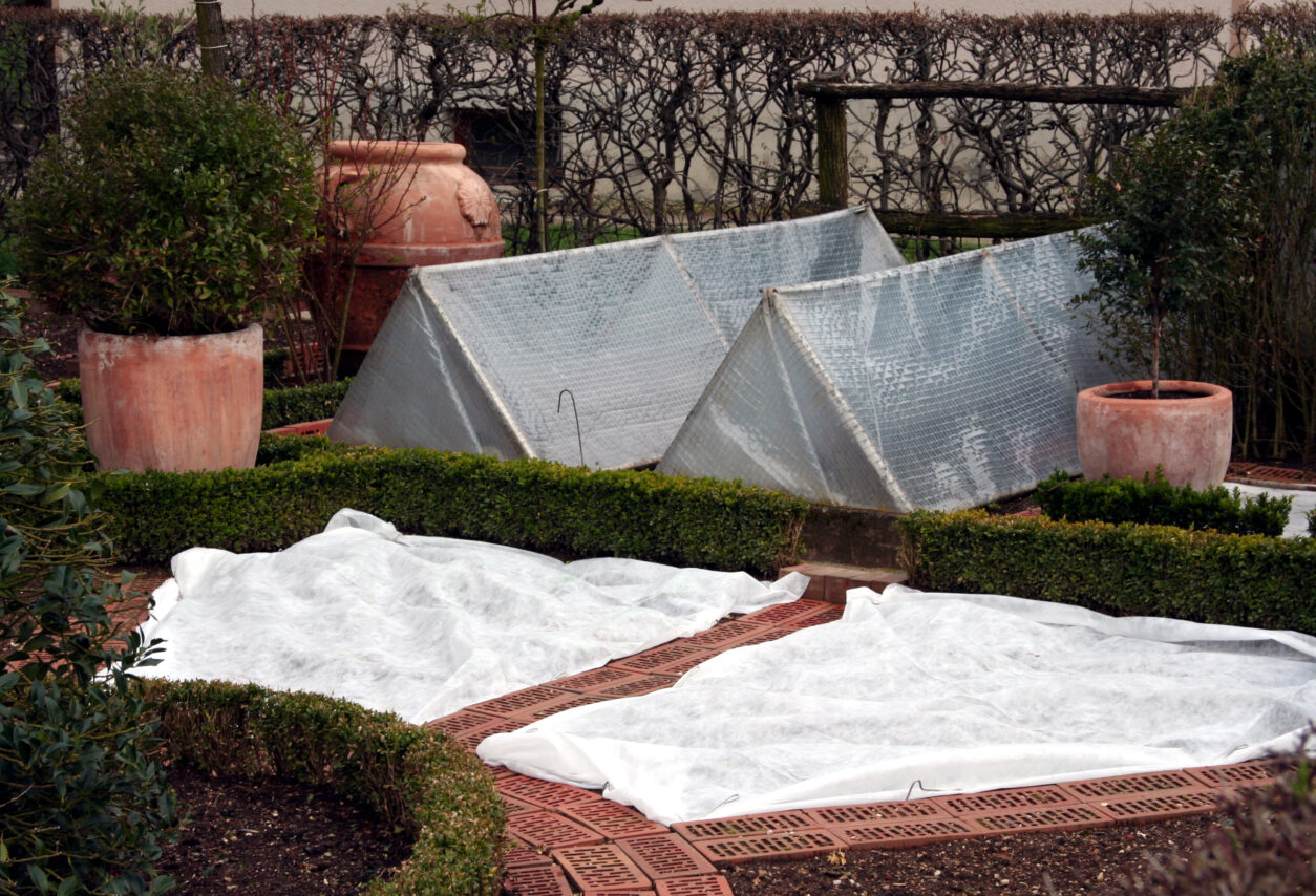 Pokrivanje poznih jesenskih in zgodnjih spomladanskih setev na domačem vrtu