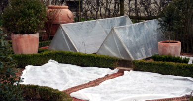 Pokrivanje poznih jesenskih in zgodnjih spomladanskih setev na domačem vrtu